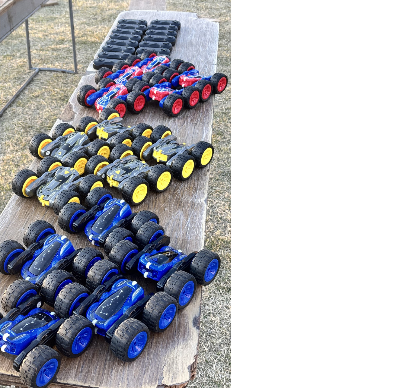 出展の様子 写真